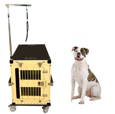 Foldable Escape Proof Heavy Duty Steel Dog Crate 40